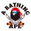 A Bathing Ape Pirate Store London U.K.